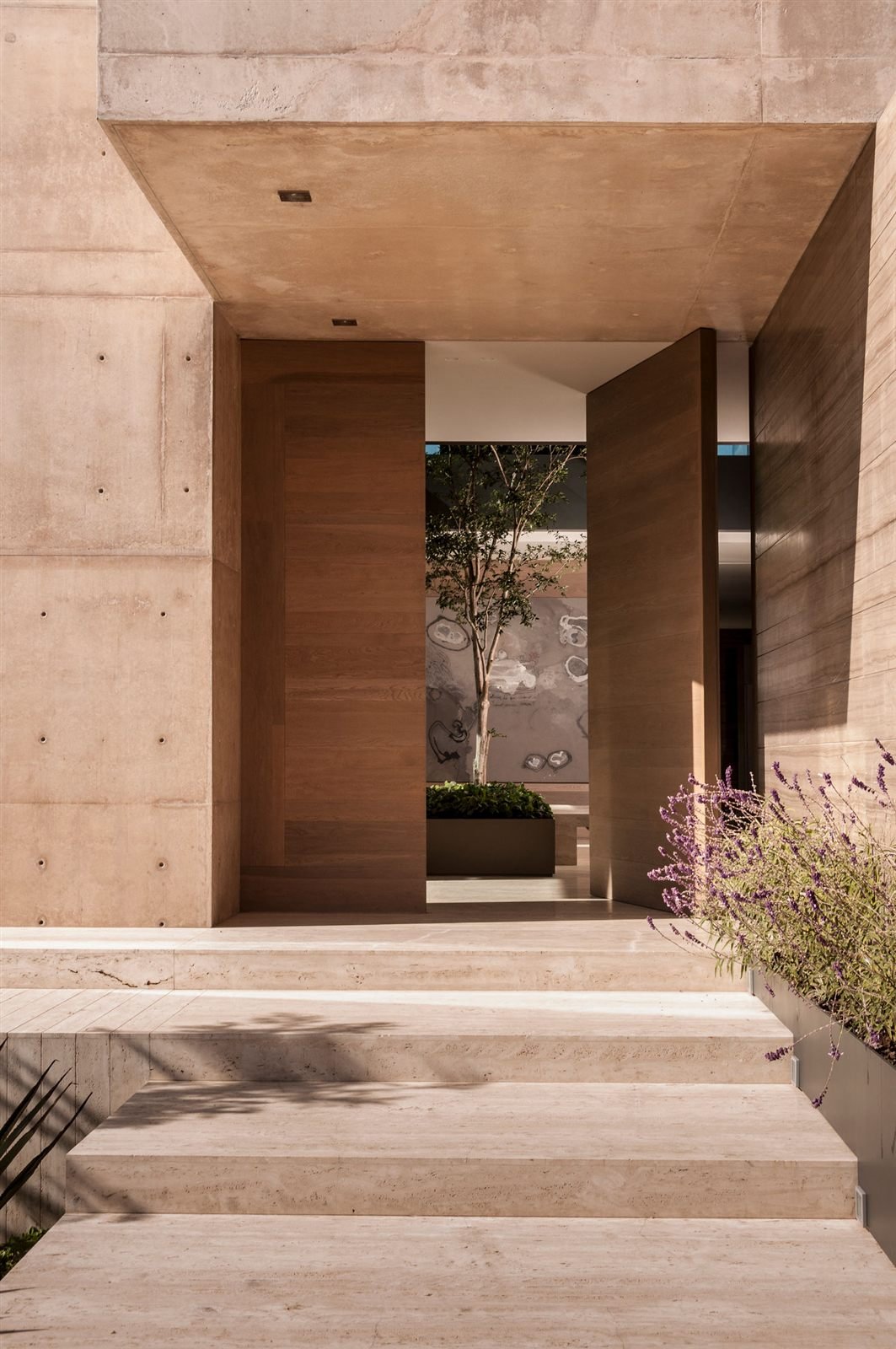 Wood pivot door project