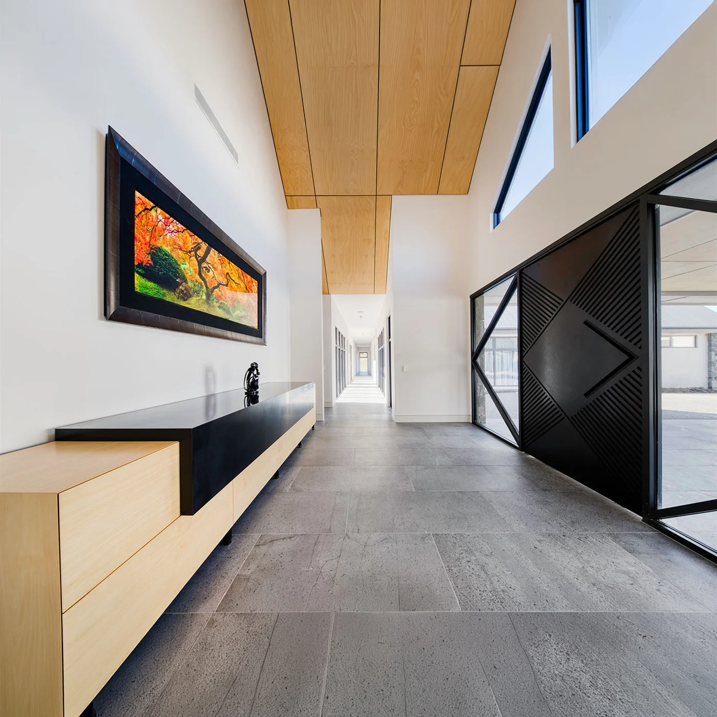 Solid-colour pivot door design reference 0148 from the AsvntDoor design library