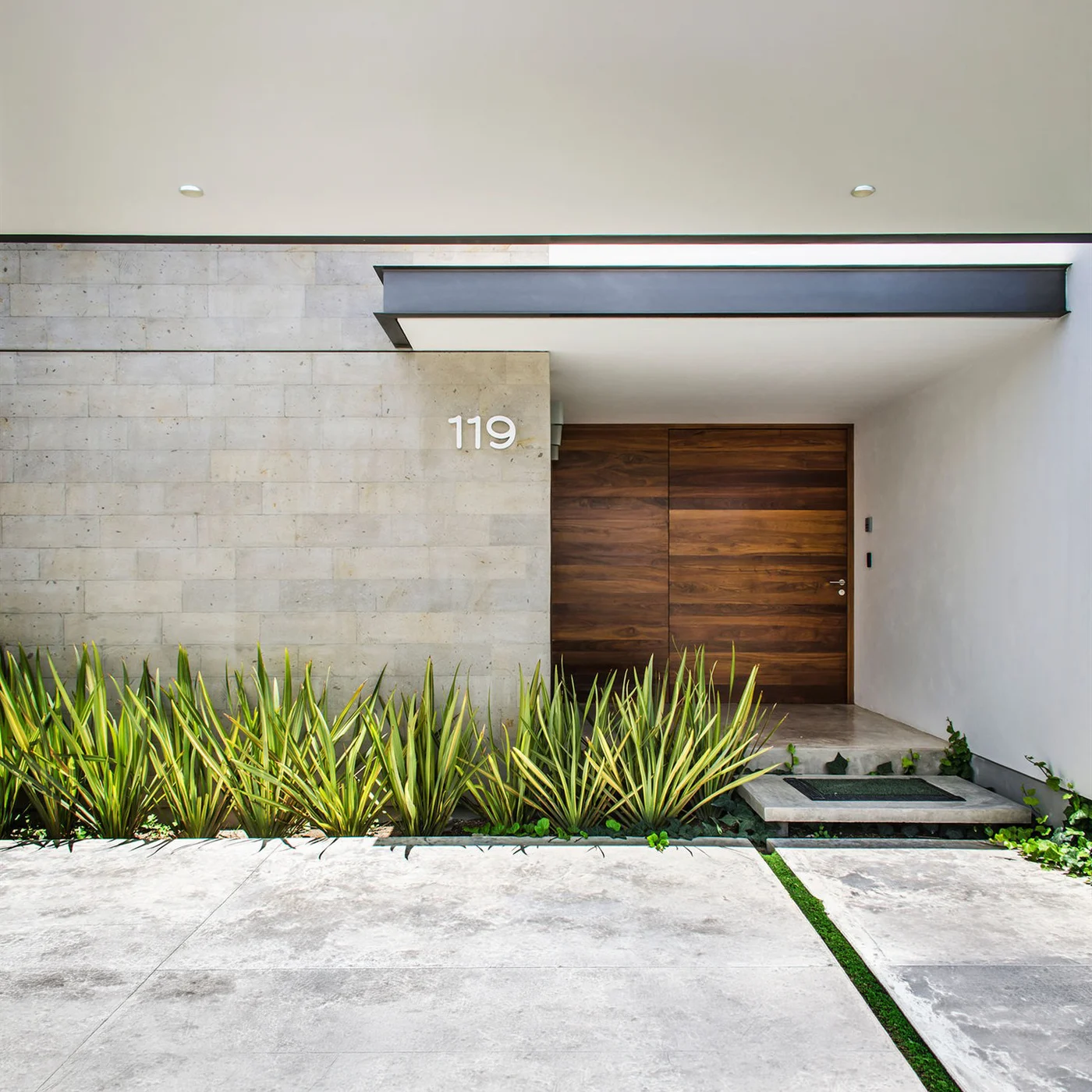 Wood-grain pivot door design reference 0072 from the AsvntDoor design library