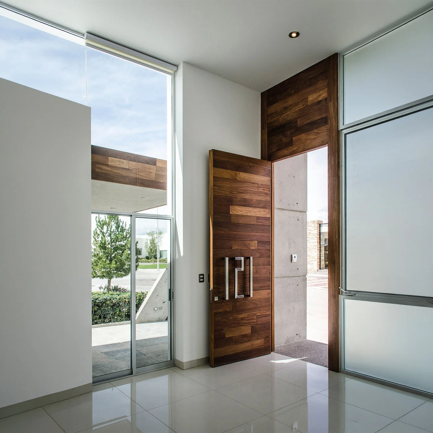 Wood-grain pivot door design reference 0161 from the AsvntDoor design library